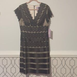 JS Collection Black Lace Dress Size 14 Ladies NWT Nude Underlay Cocktail Evening